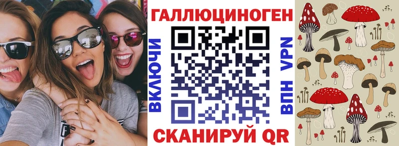 дарнет шоп  Дальнегорск  Псилоцибиновые грибы Magic Shrooms 